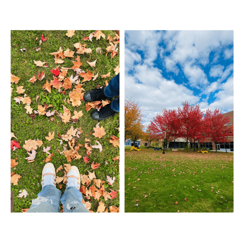 Aesthetic photo of a fall day on campus, featuring colorful leaves on the ground and a pair of shoes in the frame.