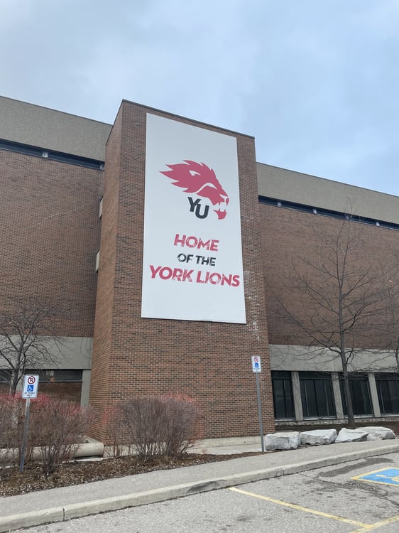 Image of York Lions building