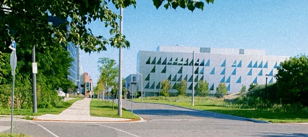 York University School Of Continuing seen from across the street, surrounded by greenery and a clear blue sky. A sidewalk and street with light poles are in the foreground.