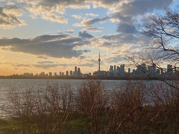 oronto skyline during sunset with clouds, with bare winter trees visible in the foreground."
