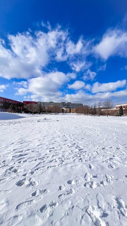 WhatsApp Image 2024-07-22 at 2.42.16 AM