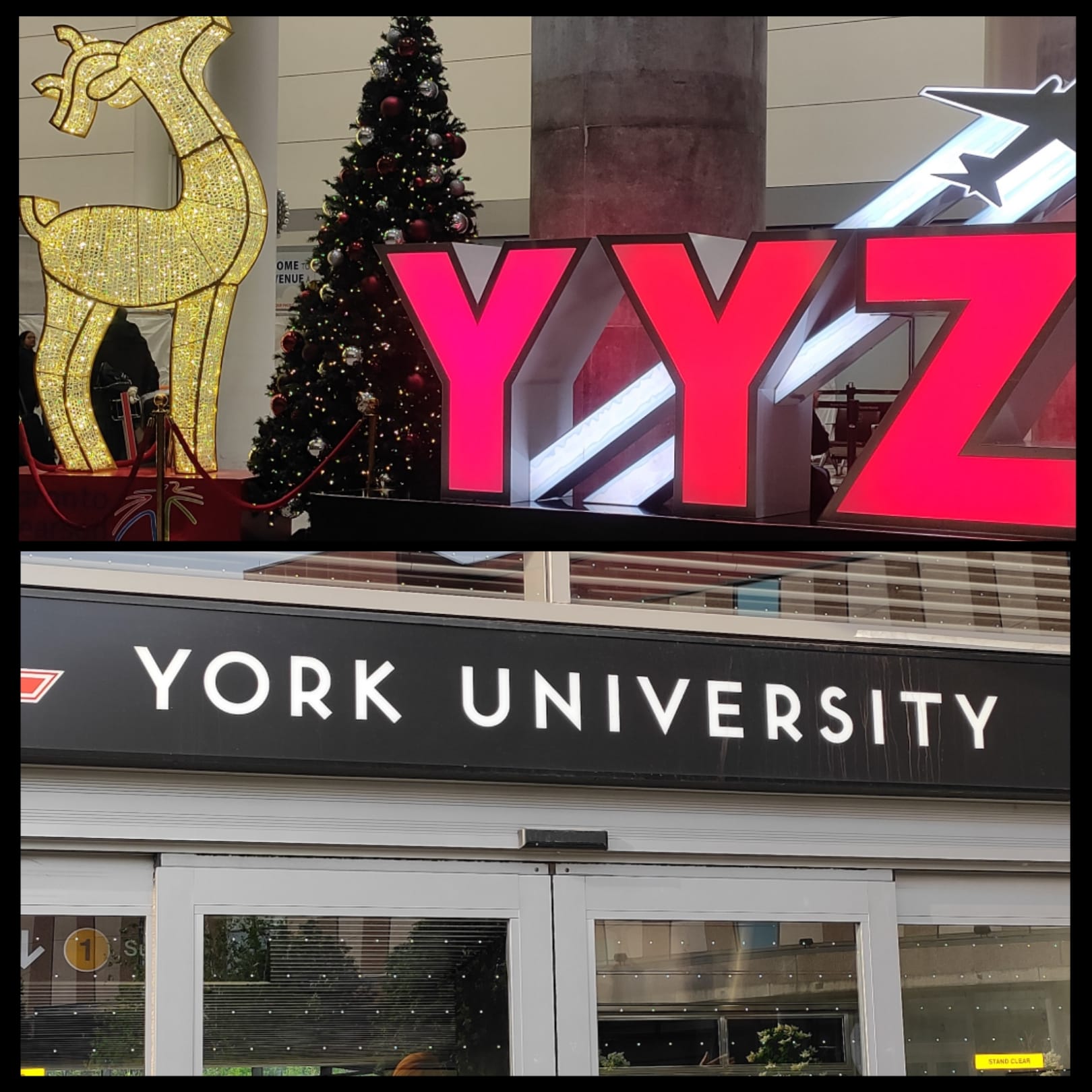 York University of Continuing Studies 