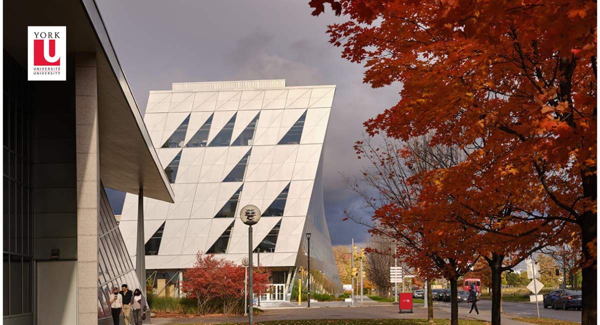 A photo of York University School of Continuing Studies in fall with a tree on the right and Seneca college building in the right