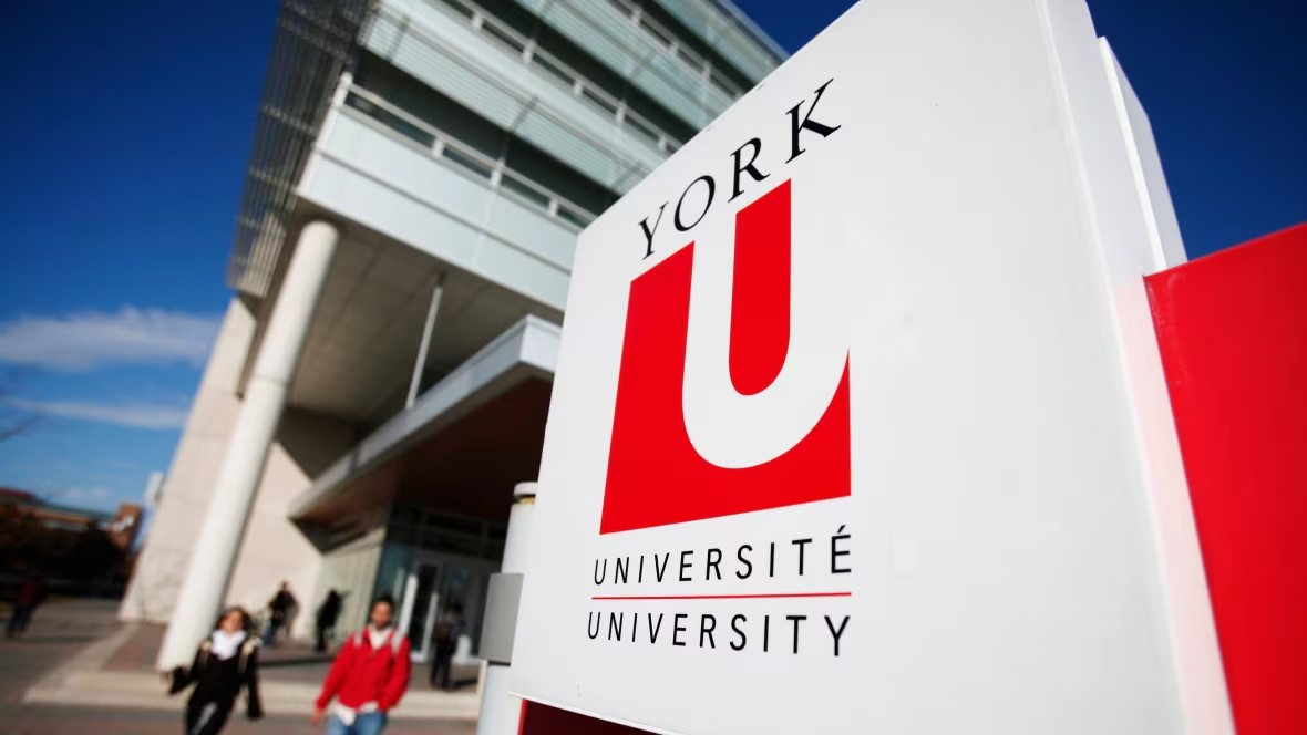 image of york university logo